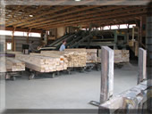 lumber coming off green chain